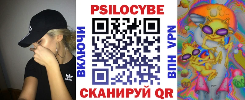 Купить закладки  Владимир  Псилоцибиновые грибы MAGIC MUSHROOMS 